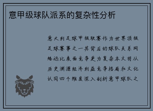 意甲级球队派系的复杂性分析